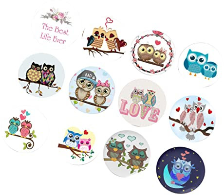 Mikinona Set of 12 Fridge Magnets Mini Owl Magnets for Kitchen Decor Office Whiteboard Scratch-resistant Material