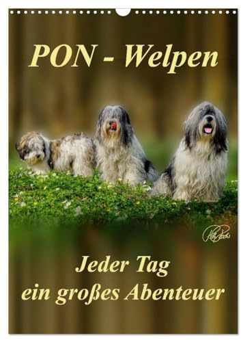 PON-Welpen - jeder Tag ein großes Abenteuer/Planer (Wandkalender 2026 DIN A3 hoch), CALVENDO Monatskalender: PON-Welpen - einzigartige, sehr ... mit unstillbarem Spieltrieb (CALVENDO Tiere)