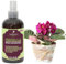 Professional Begonia Spray Fertilizer Mist for Home Gardening | 3-1-2 Gentle Blend Mist for Healthy Leaves & Growth | Essential Nutrients for Begonia - 8oz
