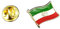 Gemelolandia | Anstecknadel Flagge Mastil Iran 16 x 15 mm | Deko- und Geschenkartikel | Fahnen, Manschettenknöpfe, Aufnäher, Pins und Vieles Mehr | Für Hochzeiten, Taufen und Besondere Anlässe