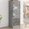 Homvdxl Schlankes Sideboard mit Glastür, 3 Würfel, Aufbewahrungs-Organizer, Vitrine für Wohnzimmer (Grau)