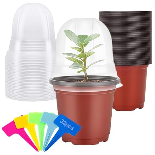 ANBET 32 Pcs Small Plastic Plant Pots with Dome Lid, 4 (10CM) Seedling Pots with Drainage Holes & 32 Pcs Plants Labels, Succulent Plant Pot Indoor Outdoor