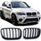 Sport Kühlergrill Doppelsteg Performance Matt passend für BMW X5 E70 X6 E71