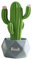 Statua Figurine, Piante Resina Ornamenti Statua, Moderni Soprammobili Scultura Statua Ornamenti, Accessori Casa Arredamento, Cactus Statuette Design Casa, Decorazioni Casa Moderna (verde)