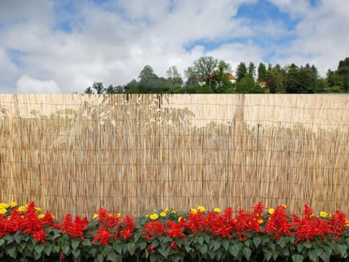 Home Tresor - Frangivista per Recinzione Bamboo, Arella in bambù, Stecche Staccionata Canne Ombreggianti per Balcone Giardino da Esterno 1,2x3 mt