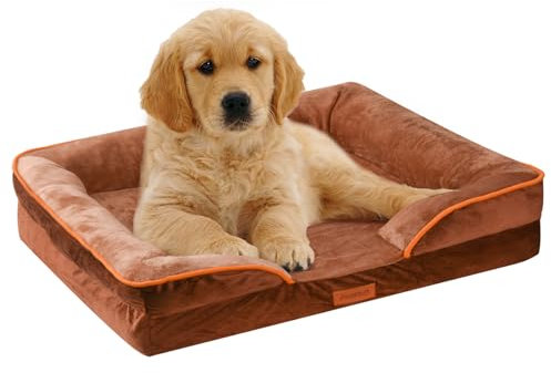 AUSCAT Orthopädisches Hundebett für Kleine Hunde - Schaumstoffsofa mit Abnehmbarem, Waschbarem Bezug, Wasserdichtem Futter und Rutschfester Unterseite, 60cm L x 45cm W x 15cm H (Braun)