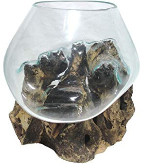 SAWA Glasvase Blumenvase Ø 25 cm individuell auf Wurzelholz