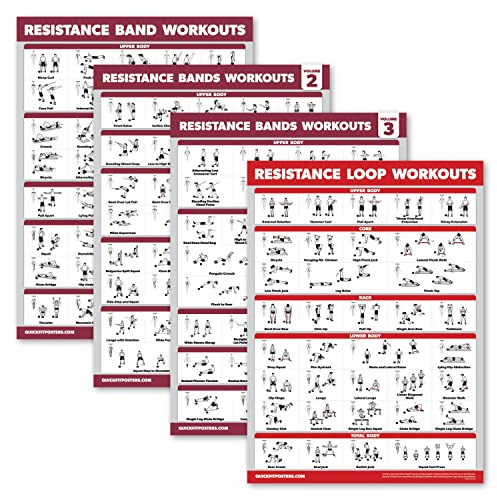 Palace Learning Widerstandsbänder, Workout-Übung, Band 1, 2 und 3, mit Widerstandsschlaufen, Fitnessdiagramm (laminiert, 45,7 x 61 cm), 4 Stück Fitness Zubehör