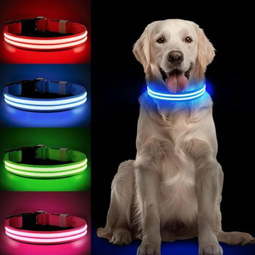 PcEoTllar Leuchthalsband Hund Aufladbar, LED Hundehalsband Leuchtend mit 3 Leuchtmodi, Leuchtendes Hundehalsband Verstellbares Wasserdicht für Kleine Mittlere Große Hunde, Blau-S