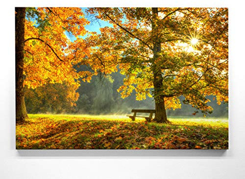 Atemberaubende Leinwand Herbstbilder - Herbstidylle Bank - als 120x80cm großes XXL Leinwandbild. Wandbild als Hintergrund und Deko für Wohnzimmer & Schlafzimmer. Aufgespannt auf Holzrahmen