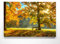 Atemberaubende Leinwand Herbstbilder - Herbstidylle Bank - als 120x80cm großes XXL Leinwandbild. Wandbild als Hintergrund und Deko für Wohnzimmer & Schlafzimmer. Aufgespannt auf Holzrahmen