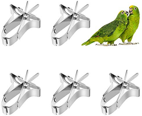 Papageien Obst Gemüse Feeder Clip 5 Stück Vögel Futterhalter Feeder Gerät Vogelkäfig Zubehör Metall Clips für Sittiche Wellensittiche Nymphensittiche