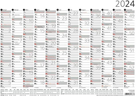 Plakatkalender 12 Monate 2024 - 29,7x21 cm - gerollt - mit Arbeitstage- und Wochenzählung - Posterkalender - Jahresplaner - 934-6111