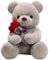 wiztex Teeddy Bear Plüschtier 23 cm - Rote Rose Stoff Teedd Kuscheltier - Schwarze Knopfaugen Teddybär - Lächelnd Teddybär Klein Geschenk für Kinder und Erwachsene (Grau)