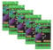 Panini Top Class 2024 Trading Cards - 5X Booster je 8X Sammellkarten