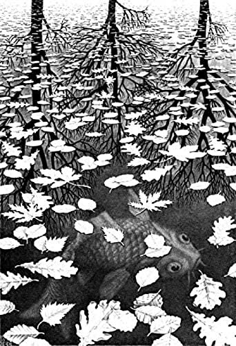 Puzzle für Erwachsene, 2000 Teile, Escher Three Worlds Giclée-Puzzle für Erwachsene, 2000 Teile, anspruchsvolles Puzzlespiel, 70 x 100 cm