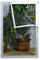 MAODOU 60x100cm,Zanzariera Per Finestra,Zanzariera Con Nastro Magico Protezione Zanzara, Garza nera e adesivi bianchi