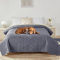 XLSBZ wasserdichte Hundedecken,rutschfest Haustiermatratze Hundedecke Waschbar Auslaufsichere Schutzdecke Sofa Schutz Bettdecke für Hunde Katze (218x208cm, Grau)