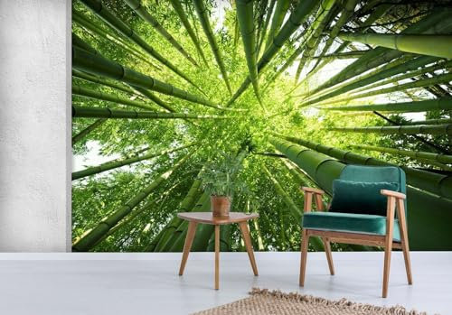 Fototapete Wohnzimmer 3D grüner Bambus Wandbilder Wand Deko für Schlafzimmer Küche Bad Flur Fenster Tür,352 * 250cm