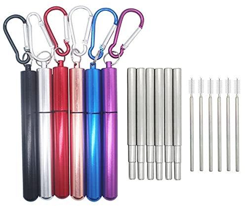Paillettes réutilisables en acier inoxydable réutilisable en acier inoxydable paille portable télescopique télescopique portable portable pailles 6 ensembles (Color : Silver)
