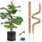 2 Stück 60cm Moosstab Monstera, Biegsame Monstera Rankhilfe für Pflanzen, mit Zubehör, Rankhilfenfür Kletterpflanzen, für Creeper Pflanzen Wachsen Nach Oben
