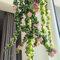 Hoya Pflanze Samen、 Wachsblume、Porzellanblume、 deko wohnzimmer modern、pflanzen garten zimmerpflanzen、büro deko hängepflanze、winterharte kübelpflanzen hängepflanze echt innen、deko 200pcs