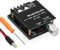Amplificatore HiFi con Bluetooth 5.0, ZK-1002L 2.0 canali 100W X 2 modulo amplificatore audio stereo mini ricevitore amplificatore di potenza DC 5-24V kit altoparlante fai da te