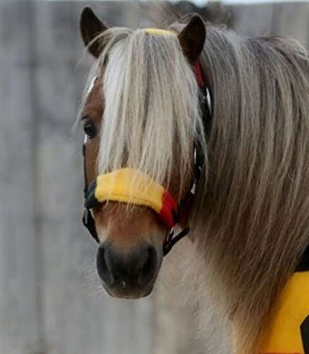 Halfter Fleece umrandet Minishetty Mini Shetty Minipony Stripes Gray Star Zebra Tysons Nylonhalfter + Fleece weich (Minishetty, Modell Stripes)