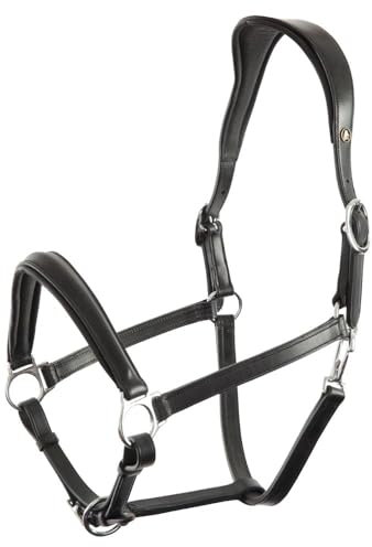 BR Halfter Aberdeen - Size Full