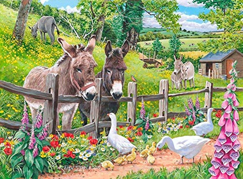 BYZZSL DIY Malen Nach Zahlen Erwachsene Anfänger Kinder,Verschiedene Motive,Leinwand, Pinsel und Acrylfarben Geschenk Malen Nach Zahlen Kits -Esel Gans Dialog 40*50（Rahmenlos