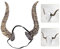 TOYANDONA Bull Hörner Zubehör für Tier Phantasie Kleid Tier Horn Kopfschmuck Lustige Halloween Requisiten Halloween Cosplay Phantasie Kleid Stirnband für Festival Dance Party Spaß