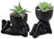 Der Rose Lot de 2 plantes succulentes artificielles pour bureau, accessoires de bureau, salle de bain, maison, décoration esthétique d'intérieur