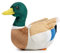 lilizzhoumax Plüschtier Grün Ente 31cm/12” Simuliertes Tier Kawaii Plüschtier Grün Ente Realistische Plüschtier Grün Ente Spielzeug für Wilde Tiere Geschenk für Freunde und Kinder pelziges