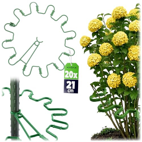 KADAX Staudenhalter Rund Ø 21 cm im 20er Set, Pflanzenhalter aus Kunststoff, Pflanzenstütze, Staudenstütze für Hortensien & Pfingstrosen, Hortensienhalter, Pflanzring (Grün)