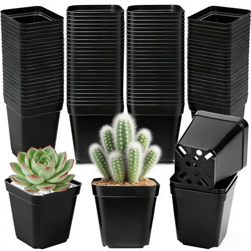 100 PCS Mini Macetas Plastico Cuadradas, Maceteros Pequeños de Plastico con Orificios de Drenaje, Macetas Plastico Negro, Mini Macetas de Plantas para Flores, Plantas, Hortalizas, 6 * 5.5CM