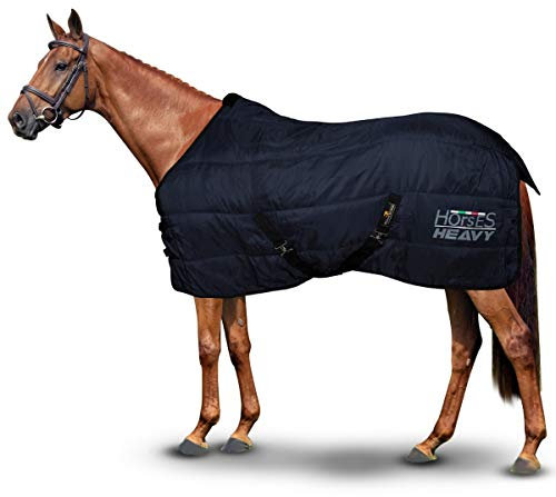 Horses, Winterdecke für Pferd Heavy 300g, Gepolstert, Weich, Bequem, Ideal für Boxen, Widerstandsfähig, mit Verstärkten Nylonkanten, Blau, 128 cm