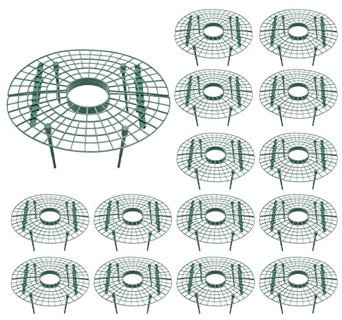 Evarbuild 15 Pack Strawberry Supports Strawberry Growing Support Rack Avoid Rot Strawberry Growing