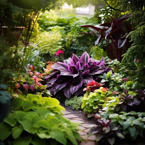 The Shade Lover Selection Hardy Shrub Plant Garden Border Mix Large Mature Plants Supplied in 3 Litre Pots - Pack of 12