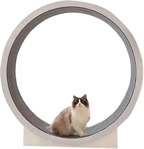 Katzenübungsrad für Innenkatzen, 120 cm Durchmesser großer Roller, Katzenlaufrad mit Teppichstraße, Verlustgewichtsgerät Sportgeräte für Haustiere