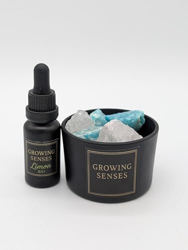 Raumduft-Set – Bio Zitronenöl & Salzsteine im Glas – Edler Duft-Diffusor als Lufterfrischer für Badezimmer, Wohnzimmer & Büro – Geschenkidee & Heimdekoration Growing Senses