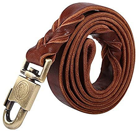 Fdit Laisse de Chien en Cuir Souple, Grand Collier de Dressage de Chien et Laisse tressé Chaîne pour Chiens Animaux de Compagnie Laisse Corde Brun(2.5 * 150CM)