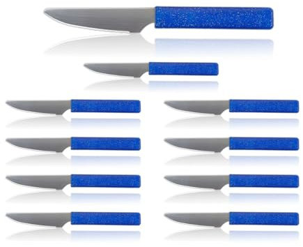 LaXon Messer blau, Frühstücksmesser, 10er Messerset, Brotmesser mit Wellenschliff, blaue Schmiermesser, rostfrei