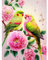5D DIY Diamond Painting Vögel,30x40 cm,Diamant Dots Art Kits Erwachsene Kinder,Blumen Diamond Painting Bilder Diamant Malerei Set für Wanddekoration