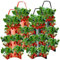 Fiorgola di Fragole di Fragole sospesa, 4 Pezzi 8 Fori Che impiccano fioriera Fragole, Borse traspirabili per Coltivare alla Fragola, 23,6x9,8 fioriera da Parete da Esterno per Erbe da Giardino Fiori