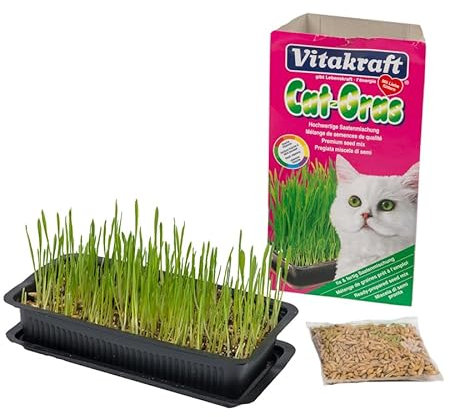 Vitakraft Cat Grass 120g