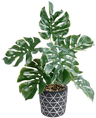 Vilde Kunstpflanze künstliche Monstera im Zementtopf dekorativ 38 cm