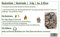 Korkstücke 4KG | Korkrinde | Ohne Chemie gereinigt und desinfiziert- Nur mit Hitze | Korkbruch 5-25cm Naturprodukt - Unikate | Ideal für Vögel (Knabberspaß), Nager, Terrarium (Einrichtung), Deko, uvm.