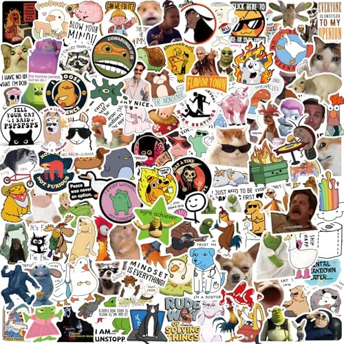 100Pcs Funny Meme Stickers, Fashion Decals Graffiti Colorful Waterproof Vinyl Stickers for Laptop Skateboard, Teens and Adults