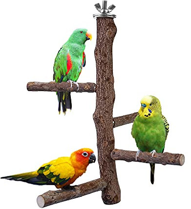 Filhome Bird Perch Stand Toy, Natural Wood Parrot Perch Bird Cage Branch Perch Accessories for Parakeets Cockatiels Conures Macaws Finches Love Birds (M: 10 Length)