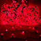 Christmas Concepts® 1000 100m/328ft Red LED Berry Lights with 8 Function Controller - Indoor/Outdoor - Energy Efficient A++ - Christmas Lights
